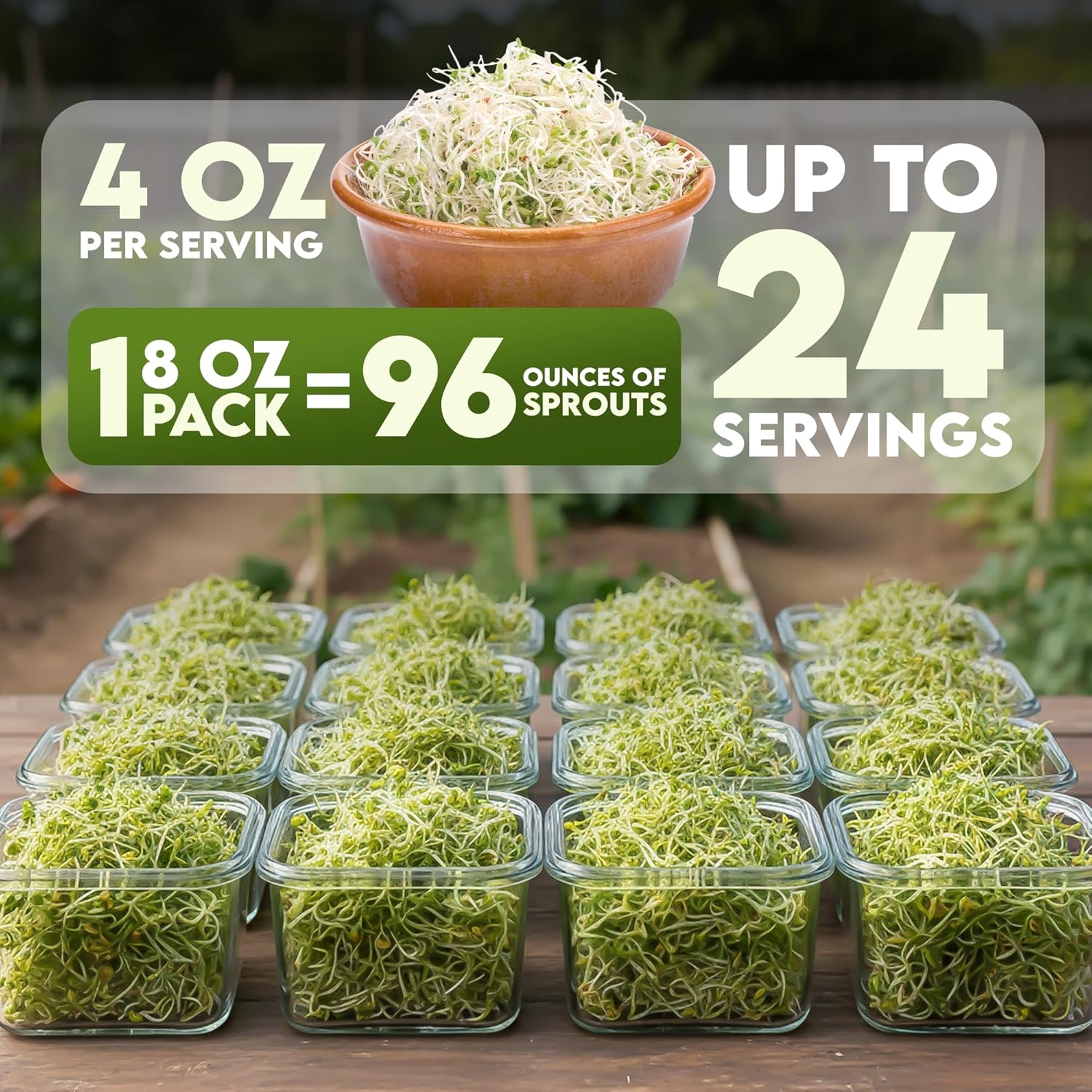 Nature Jim's Organic Broccoli Sprouting Seeds – Non-GMO, Rich in Sulforaphane, Fast-Growing Microgreen Seeds for Indoor/Outdoor Planting– Ideal Organic Sprouting Seed for Nutritious Gardening - 8oz