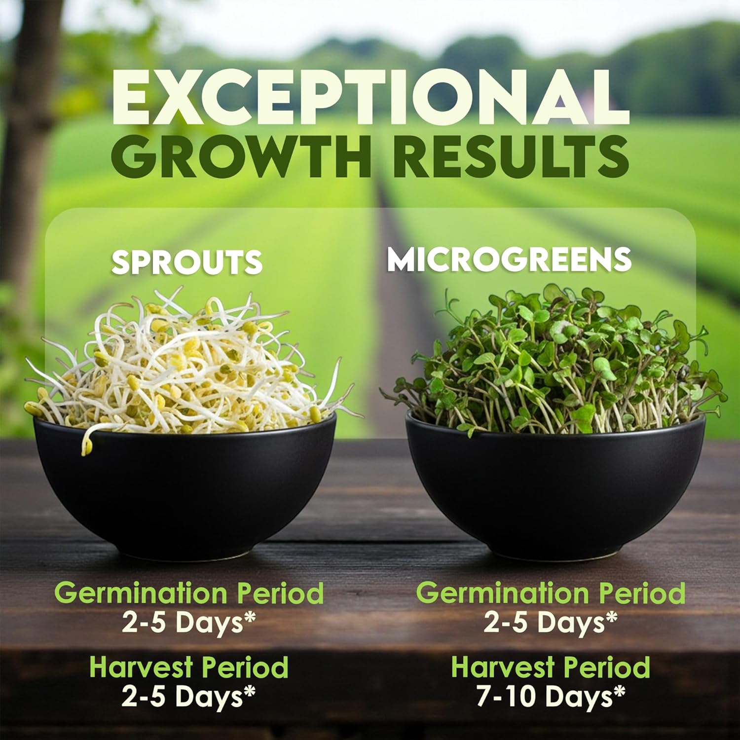 Nature Jim's Organic Broccoli Sprouting Seeds – Non-GMO, Rich in Sulforaphane, Fast-Growing Microgreen Seeds for Indoor/Outdoor Planting– Ideal Organic Sprouting Seed for Nutritious Gardening - 8oz