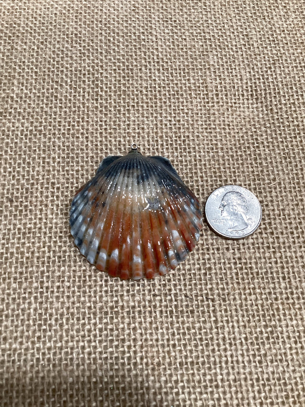 Sanibel Scallop shell pendant.